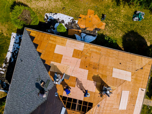 Best Roof Replacement Cost  in Hokes Bluff, AL
