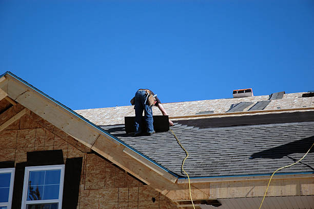 Best Roof Gutter Cleaning  in Hokes Bluff, AL